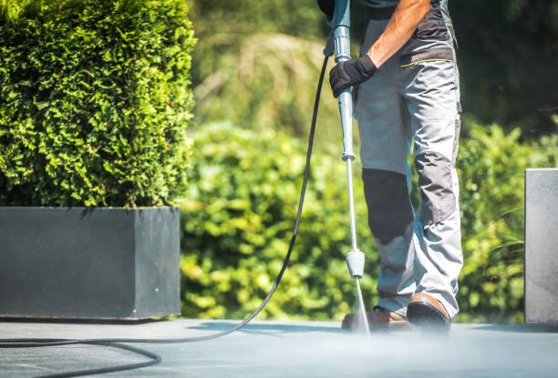 Best Pre-Holiday Cleaning  in Laguna Heights, TX